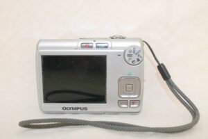 Olympus camera and viewing screen