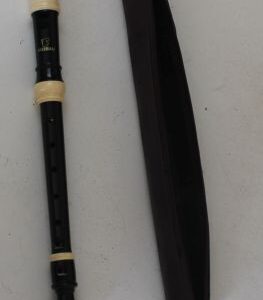 recorder and carry case