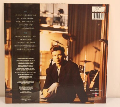 rick astley hold me in your arms 33" vinyl