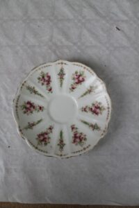 Antique Wellington China J.H.C & Co Longton