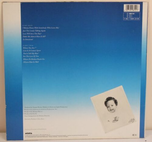 whitney houston - WHITNEY 33" vinyl album