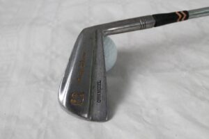 iron golfing club true temper irons