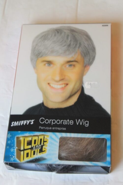 Corporate grey wig