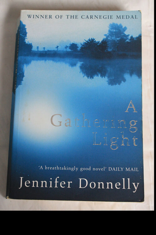 A Gathering Light Jennifer Donnelly