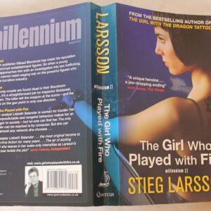 The girl who played with fire novel